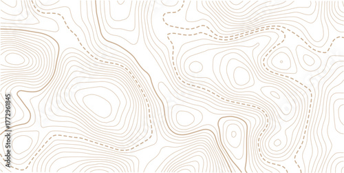 Topographic line contour map background, geographic grid map, stock vector illustration.Abstract topo contour map on white background, Topographic map Topographic contour lines map seamless pattern