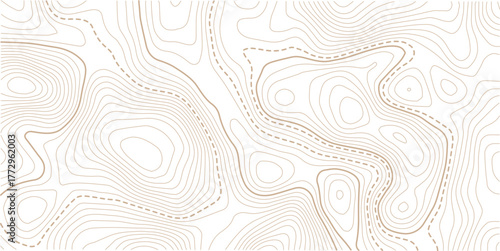 Topographic line contour map background, geographic grid map, stock vector illustration.Abstract topo contour map on white background, Topographic map Topographic contour lines map seamless pattern