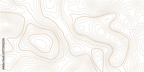 Topographic line contour map background, geographic grid map, stock vector illustration.Abstract topo contour map on white background, Topographic map Topographic contour lines map seamless pattern