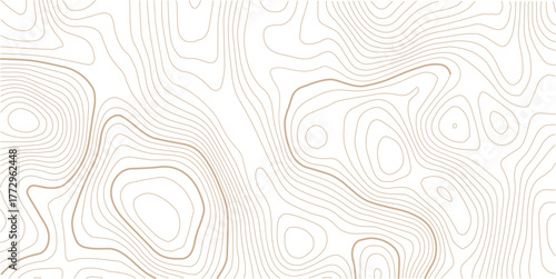 Topographic line contour map background, geographic grid map, stock vector illustration.Abstract topo contour map on white background, Topographic map Topographic contour lines map seamless pattern