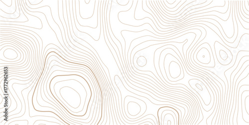 Topographic map background geographic line map with elevation assignments .Topographic gold luxury map background. Geographic abstract pattern.