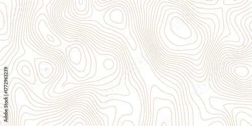 Topographic line contour map background, geographic grid map, stock vector illustration.Abstract topo contour map on white background, Topographic map Topographic contour lines map seamless pattern