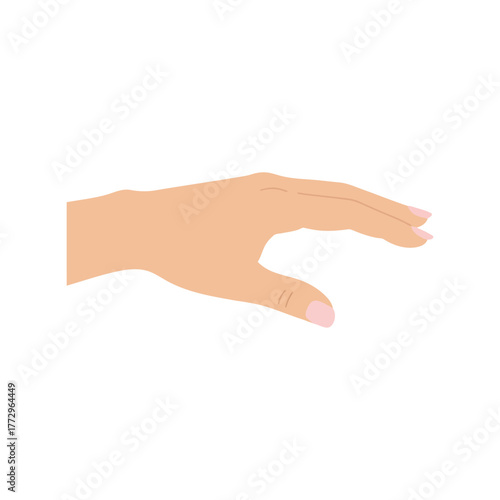 Female hand reaching out with fingers gently curved, isolated on white background Vector, illustration