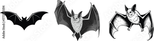 Black and white detailed bat illustrations showing flying and resting poses, artistic design, wildlife drawing, nocturnal animals, and nature concept