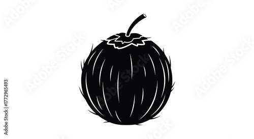A hand drawn black silhouette of a whole coconut with a stem against a white background tropical fruit illustration silhouette