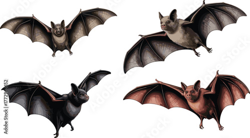 Collection of four detailed bat illustrations showing different species in flight, realistic wings, wildlife art, nocturnal animals, and nature concept