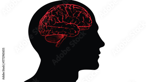 Black Silhouette Human Head Red Brain Vector Illustration