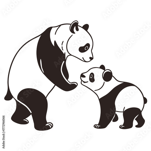 vector illustration of a panda bear