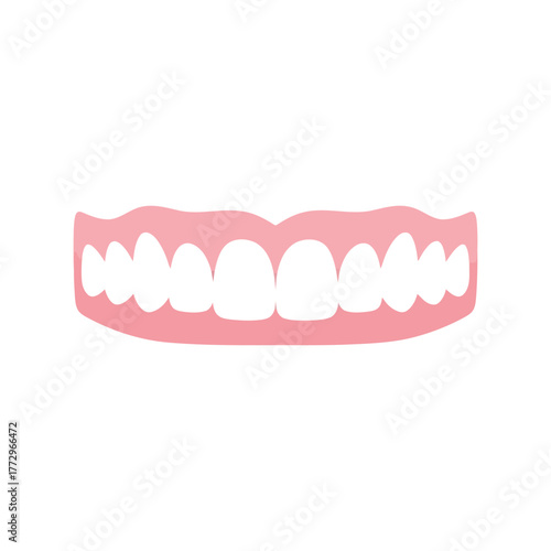 Pink gums with white teeth illustration on a white background Vector, illustration