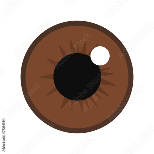 Close up of a brown iris with a black pupil and a bright reflection Vector, illustration