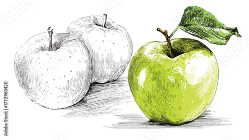 Vibrant Drawing of Apples & Green Apple with Sticker - Creative Fruit Illustration