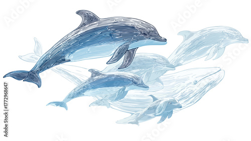 Vibrant Group of Dolphins and a Whale Vector Illustration