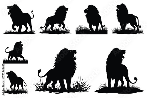 Black lion silhouettes roaring in grass vector