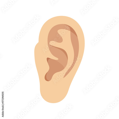 Human ear illustration   anatomy, hearing, medical, health concept icon Vector, illustration
