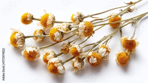 Dried chamomile flowers isolated on white background, studio light, herbal tea ingredients, natural medicine product photography