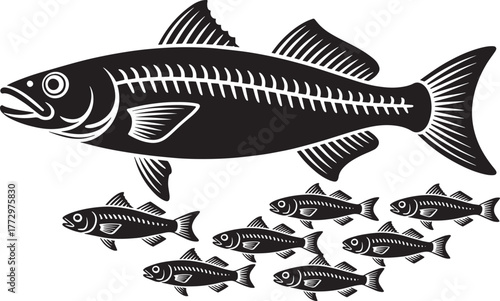 Big bony fish with internal structure details and seven small aquatic animals vector drawing