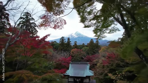 Viewing Distant Mountain Through Colorful Fall Trees
