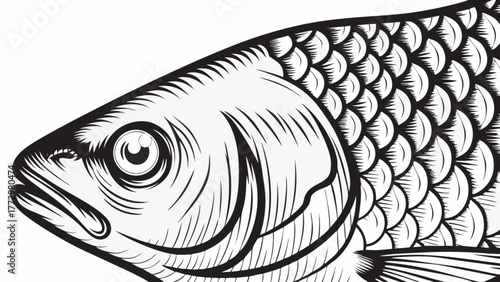 Detailed fish illustration with intricate scales perfect for a fishing company logo or a nautical design