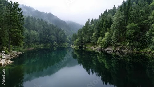 A serene mountain lake reflects a dense evergreen forest lining steep mist-shrouded hillsides under a soft diffuse sky Still water mirrors the lush trees