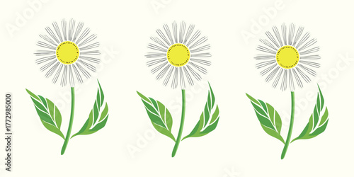 Three Stylized Daisy Flowers with Green Leaves on Cream Background

Minimalist Botanical Illustration of Daisies in a Row

Vector Daisy Flowers with Yellow Centers and Black Petals

Floral Line Art: T