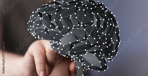 Digital brain representatio...