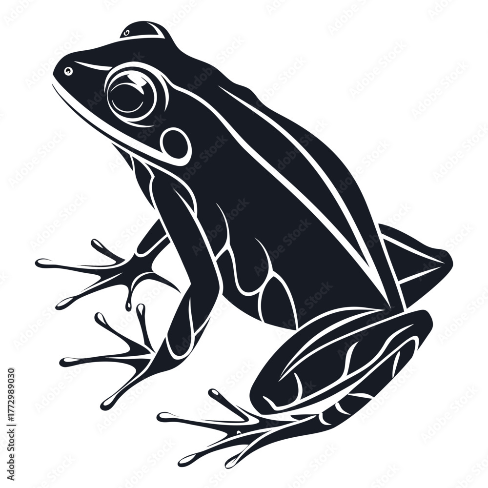 Fototapeta premium frog on a white background