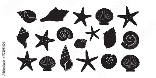 Set of different black sea shells and starfish vector illustration
Set of different black sea shells and starfish vector illustration 