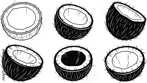 Black and white coconut vector set, tropical fruit illustration, sliced coconut design collection, exotic nut silhouette, summer nature artwork