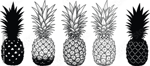 Five pineapple illustrations in black and white, tropical fruit vector collection, exotic summer design, hand drawn pineapple artwork for decoration