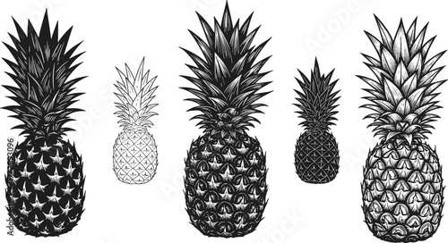 Five detailed pineapple illustrations in black and white, tropical fruit vector collection, exotic summer design, hand drawn botanical artwork set
