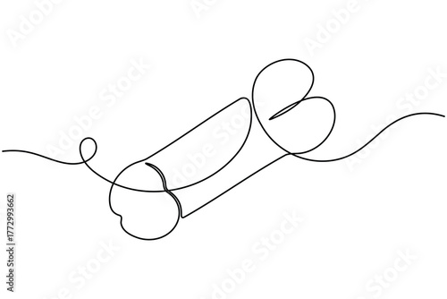 Human reproductive organ penis continuous one line drawing on white background minimalist anatomy organ outline vector illustration