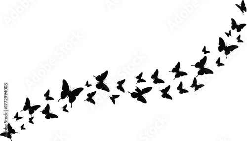 Beautiful butterfly silhouettes flying in curved motion, nature insect pattern, black vector illustration, freedom and spring design concept