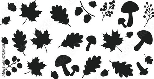 Autumn leaves acorns mushrooms and berries silhouette collection, black fall botanical vector illustration for seasonal nature and forest design