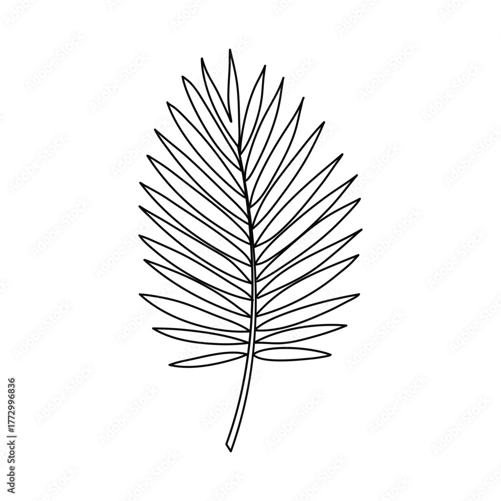 Obraz premium Minimalist Tropical Palm Leaf Line Drawing. Line art. Illustration