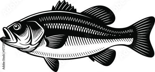 Detailed largemouth bass fish swimming silhouette isolated on transparent background for fishing design