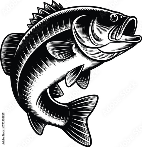 Jumping largemouth bass fish silhouette with open mouth isolated on transparent background for fishing sport