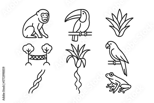 Rainforest Canopy Icons. Line style icons of Rainforest Canopy: Howler Monkey, Toucan, Bromeliad, Canopy Walkway, Epiphyte, Macaw,
