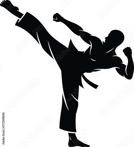 Martial Arts Practitioner Kicking Silhouette Karate Taekwondo Fighter Vector Isolated on Transparent Background