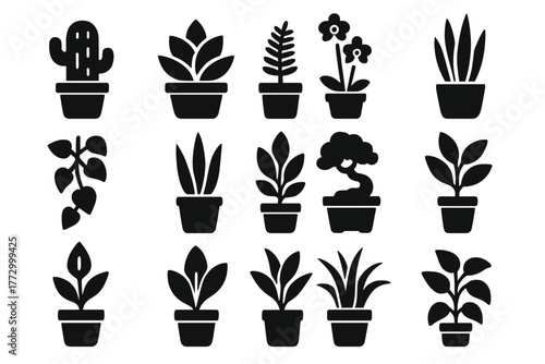 Indoor Plant Icons. Solid style icons of Indoor Plants: cactus pot, succulent pot, fern pot, orchid pot, leafy vine, snake plant,