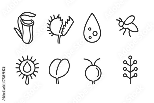 Carnivorous Plant Icons. Line style icons of Carnivorous Plant: Pitcher Plant, Venus Flytrap, Digestive Fluid, Lured Insect,
