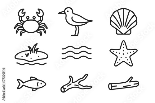 Wildlife Sandbar Icons. Line style icons of Wildlife Sandbar: Crab, Seabird, Shell, Exposed Land, Tide, Starfish, Small Fish,