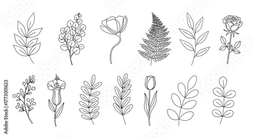 Diverse botanical line art illustrations, a sophisticated collection of hand-drawn floral and leaf elements in a minimalist vector graphic style perfect for creative design projects