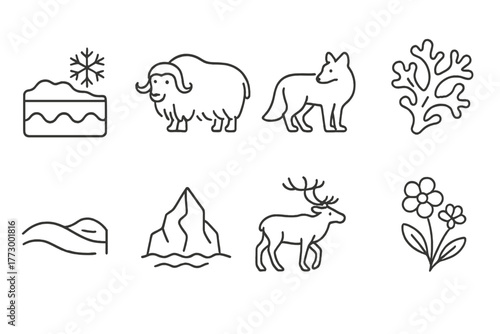 Tundra Symbol Icons. Line style icons of Tundra: Permafrost, Musk Ox, Arctic Fox, Lichen, Snowdrift, Iceberg, Caribou, Tundra