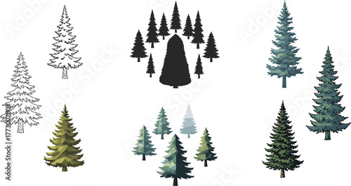 Pine forest tree collection, evergreen conifer illustration, winter landscape nature vector design art