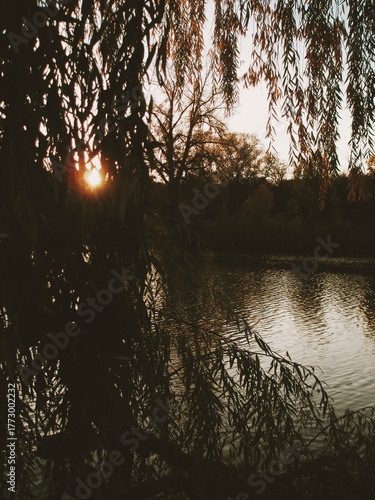 Riverside view with hanging willow and autumnal trees under an evening sky