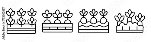 Illustration of stylized plants in pots vector art line drawing botanical design elements for print