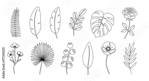 Elegant Hand-Drawn Floral and Leafy Elements Perfect for Design and Decoration Projects