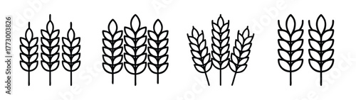 Vector illustration of wheat ears agriculture farm harvest grain cereal rye barley oat field plant food ingredient