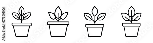 Four potted plants illustration vector, indoor plants, house plants, plant care, plant lovers art