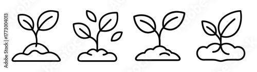 Seedling sprouts growing from soil vector illustration for agriculture and gardening projects